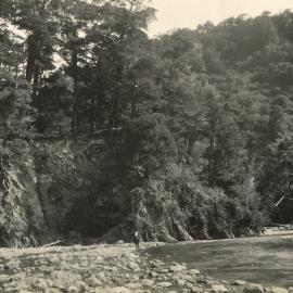 Landscape near Wellington