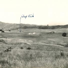 70 year old pastures