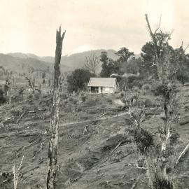 Settlers home in North Taranaki