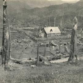 Whare - 1920