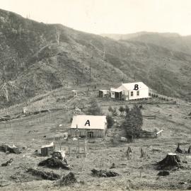 Whanga - 1929
