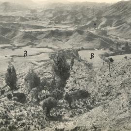 Whanga - general view