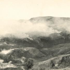 Tutira - burning scrub