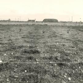 Junction plots - 2 of 2