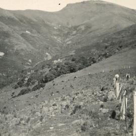 Banks Peninsula - Gully view