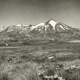 Ruapehu view