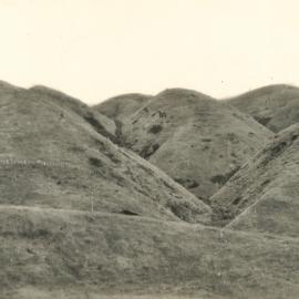 Paekakariki - contours