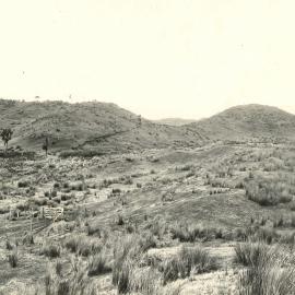 Stabilised sandhill country