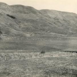 Van Arche's land at Tuki Tuki 