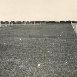 Hudson - mowing technique