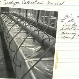 Ec 23 - Ecotype collection 