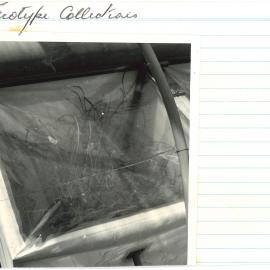 Ec 25 - Ecotype collection