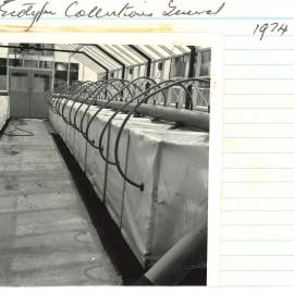 Ec 24 - Ecotype collection