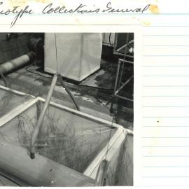 Ec 26 - Ecotype collection