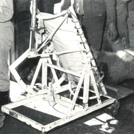 Operation table - Sheep - 10