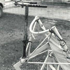 Operation table - Sheep - 7