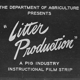Pig husbandry. 3. Litter production: a pig industry instructional film