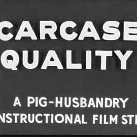 Pig husbandry. 5. Carcase quality: a pig industry instructional film