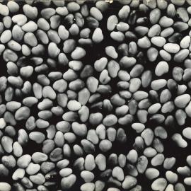 Kernels - 1