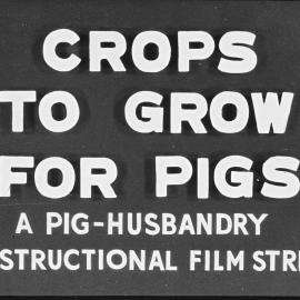 Pig husbandry. 6. Crops to grow for pigs: a pig industry instructional film