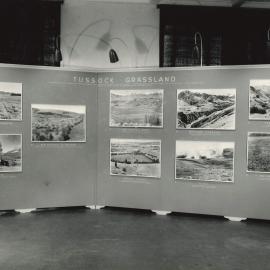 Land Development - 4