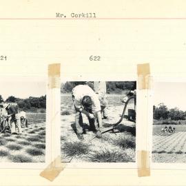 Mr. Corkill at work - 2