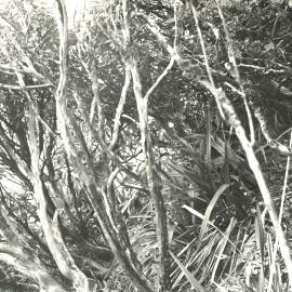 Alex Knob - view - 11