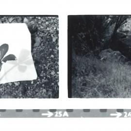 Alex Knob - view - 4