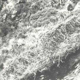 Alex Knob - view - 8