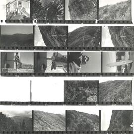 Alex Knob - view - 3