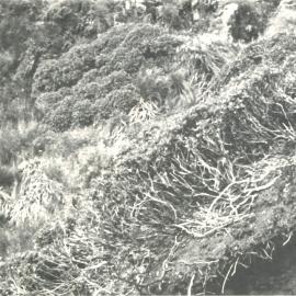 Alex Knob - view - 10