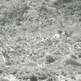 Alex Knob - view - 9