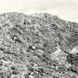 Alex Knob - view - 6