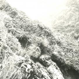 Alex Knob - view - 7