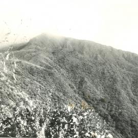 Alex Knob - view - 5