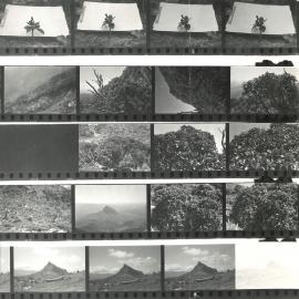 Alex Knob - view - 2