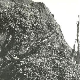 Alex Knob - view - 1