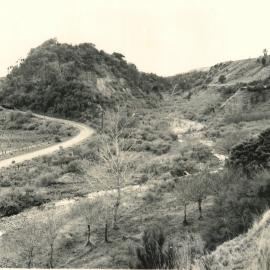 Valley - 1960
