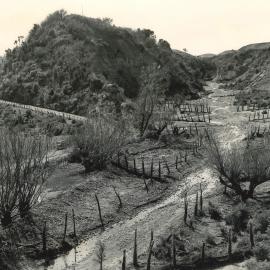 Valley - 1947