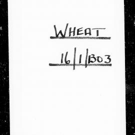 Wheat trial reports: Reporoa, M.A. Sickfold