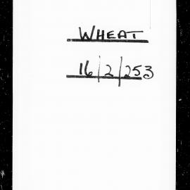 Wheat trial reports: Marton Experimental Area