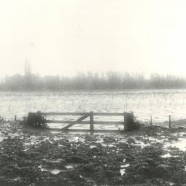 Waterlogged paddock
