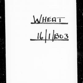 Wheat trial reports: Reporoa: Cover page
