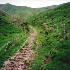 Ballantrae landscape - 2