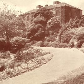 Main drive - Massey Agricultural College