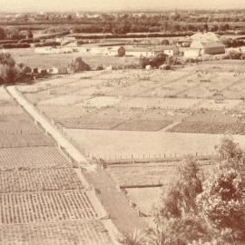 Grasslands Division