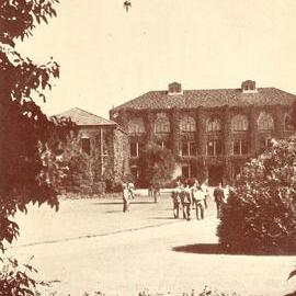 Sun and shade - Massey Agricultural College 