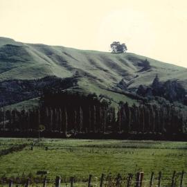 Countryside