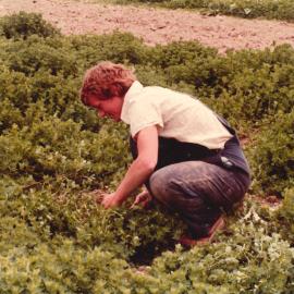 Field worker