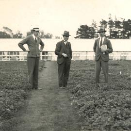 Saxby - Levy - Gorman